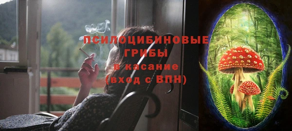 бошки Беломорск