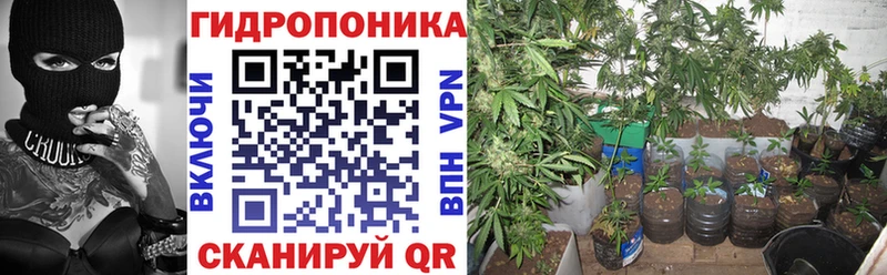 купить   Новая Усмань  Бошки марихуана планчик 